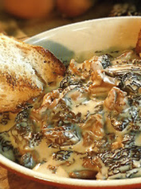 Croûte aux morilles, pain toasté - Noel